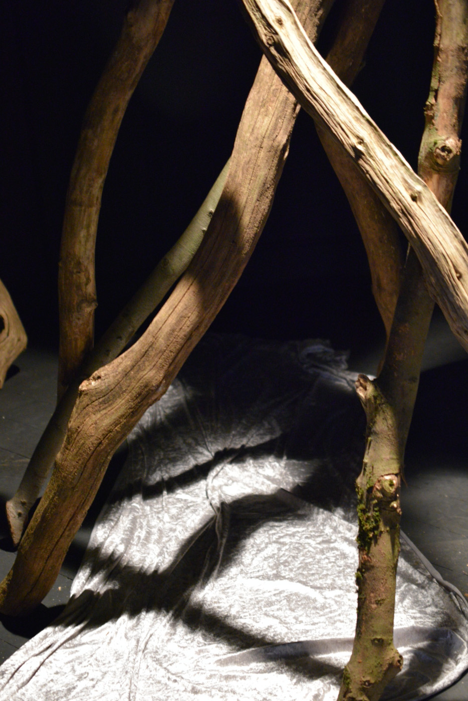 html5 bootstrap by colorlib.com